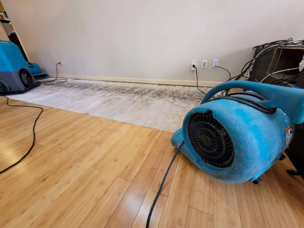Professional Basement Flood Cleanup technician working in Lannon, WI